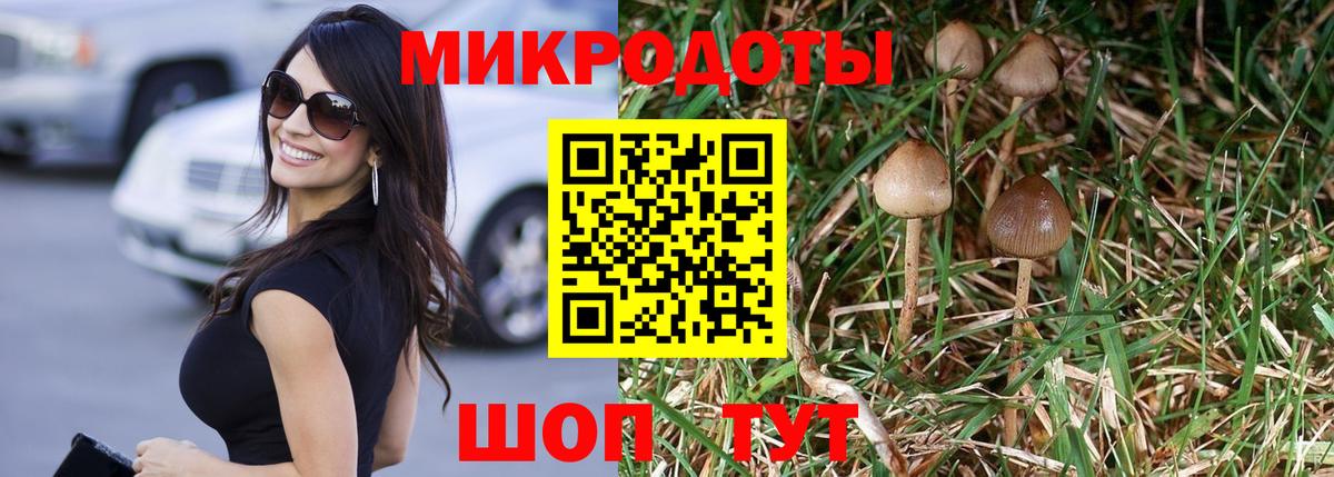 Псилоцибиновые грибы мухоморы  Галлюциногенные грибы Magic Shrooms  Славянск-на-Кубани  Вход с VPN 